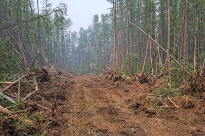 Commercial Site Clearing in Houston, TX