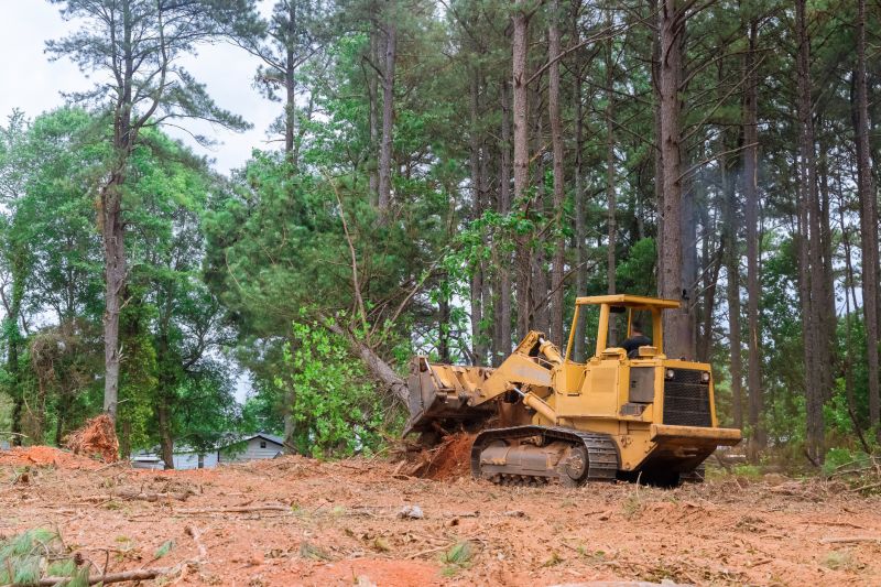 Construction Site Land Clearing in Atlanta, GA